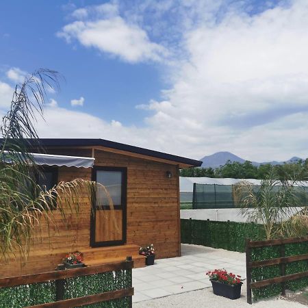 보스코리알레 Vesuvius Chalet Relax 아파트 외부 사진