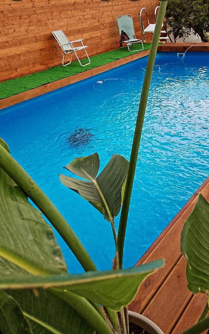 보스코리알레 Vesuvius Chalet Relax 아파트 외부 사진